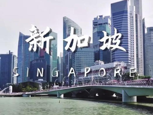 跨境数字化供应链平台创始人｜连续成功创业者赛道，多年出海贸易履历加分-成功案例